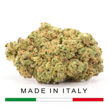 Charger l'image dans la galerie, LIVRAION-ACHETER-CBD-PARIs-75-Durban-Poison-INDOOR.jpg