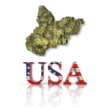 Charger l'image dans la galerie, LIVRAISON CBD PARIS CBD PARIS FAST CBD SHOP PARIS LIVRAISON EXPRESS CBD PARIS LIVRAISON CBD NUIT FAST CBD SHOP PARIS